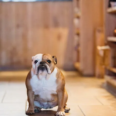 De Zeebries Budget Middelkerke