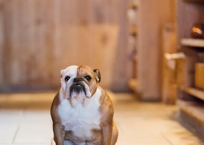 De Zeebries Budget Middelkerke